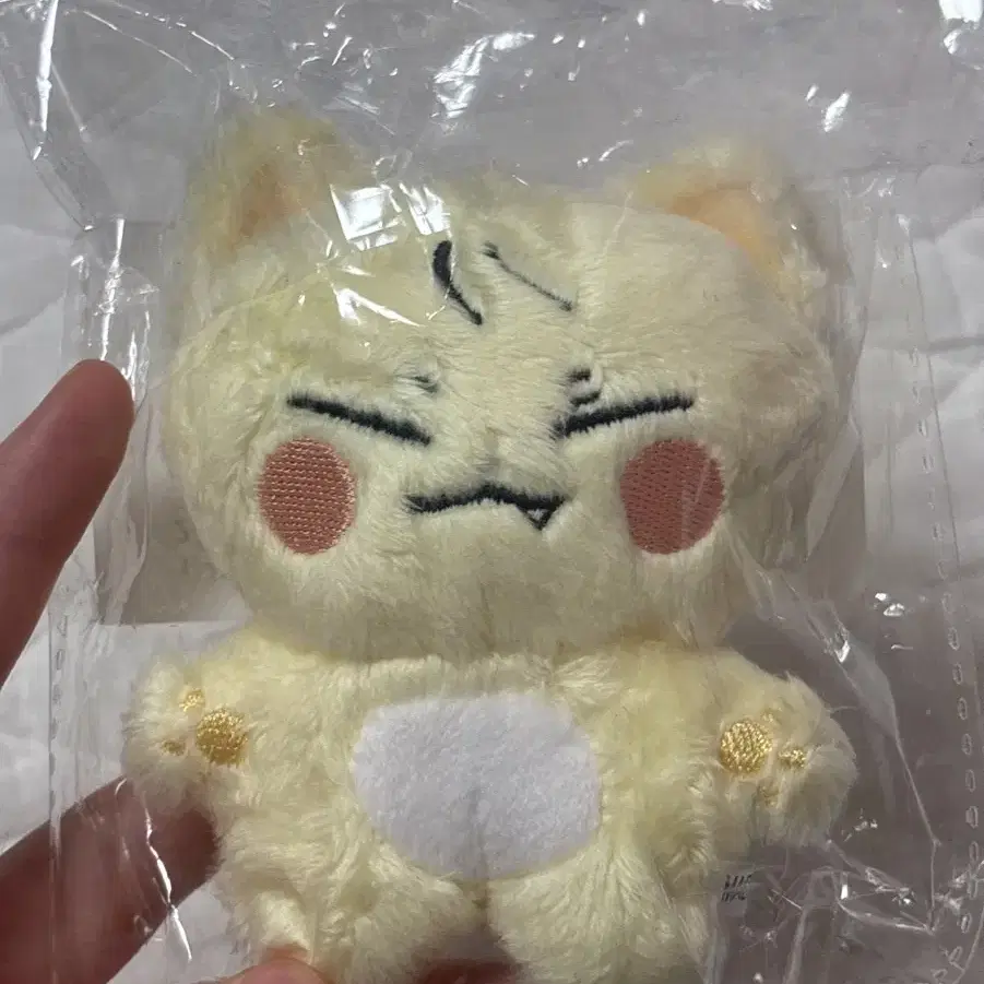 비투비 서은광 광냥이 10cm 인형