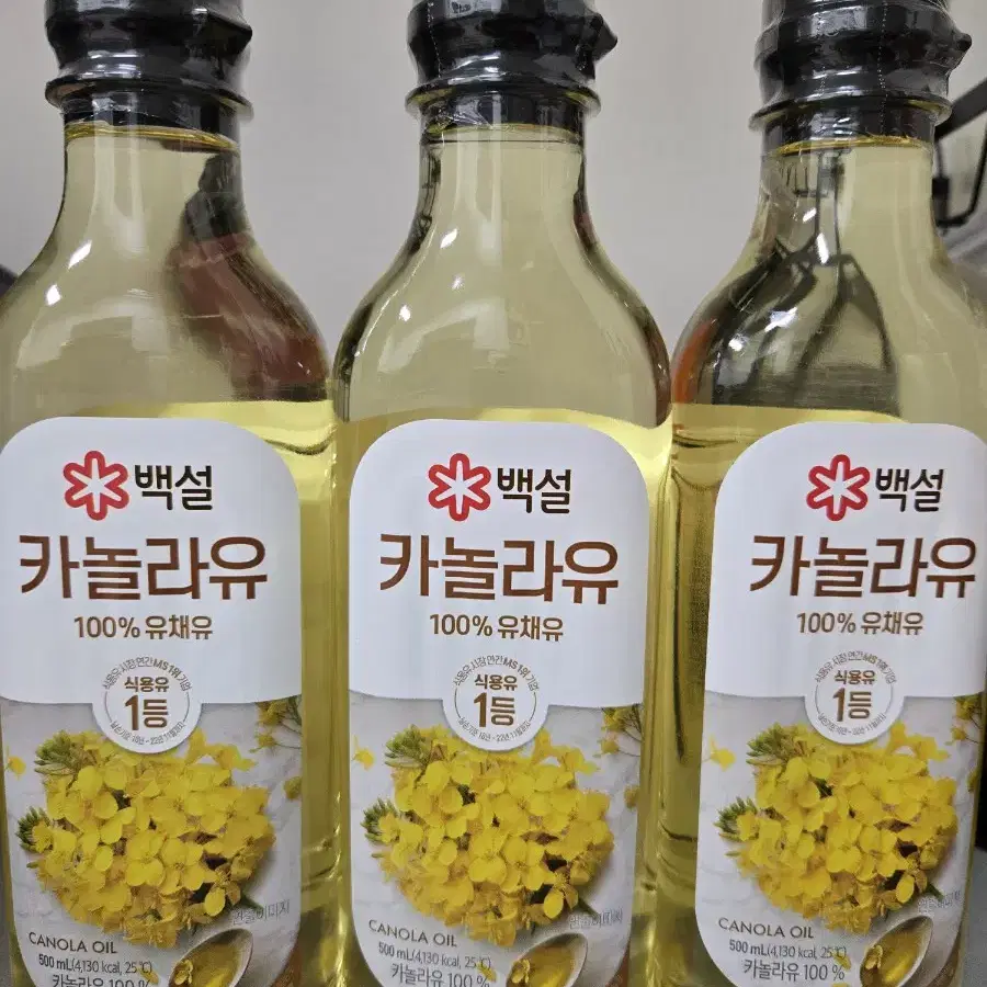 카놀라유