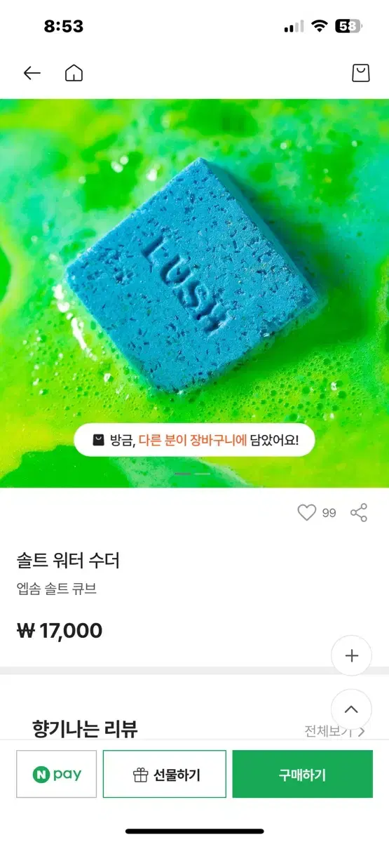 LUSH 러쉬 솔트 워터 수더 배쓰밤 입욕제