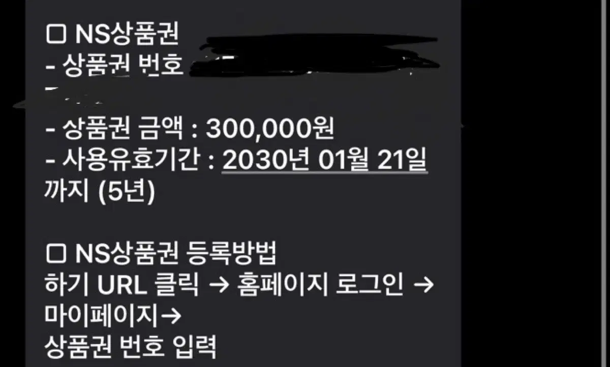 NS상품권 30만원