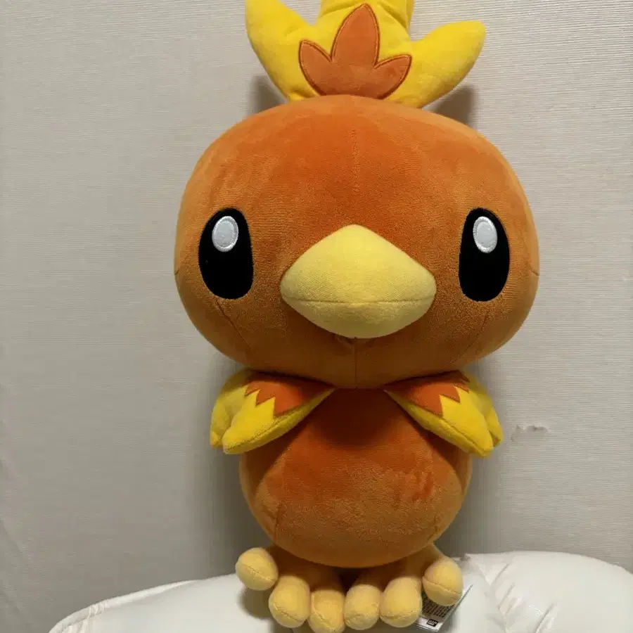 포켓몬 정품 반다이 스피리츠 아차모 / Torchic 인형