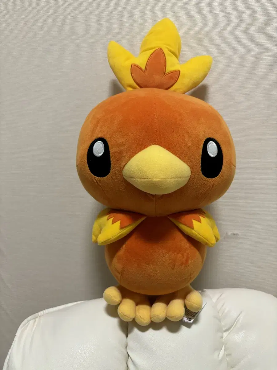 포켓몬 정품 반다이 스피리츠 아차모 / Torchic 인형