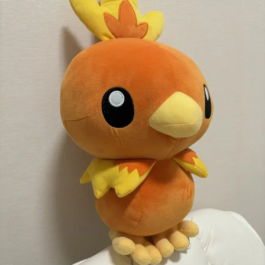 포켓몬 정품 반다이 스피리츠 아차모 / Torchic 인형 (무료배송)