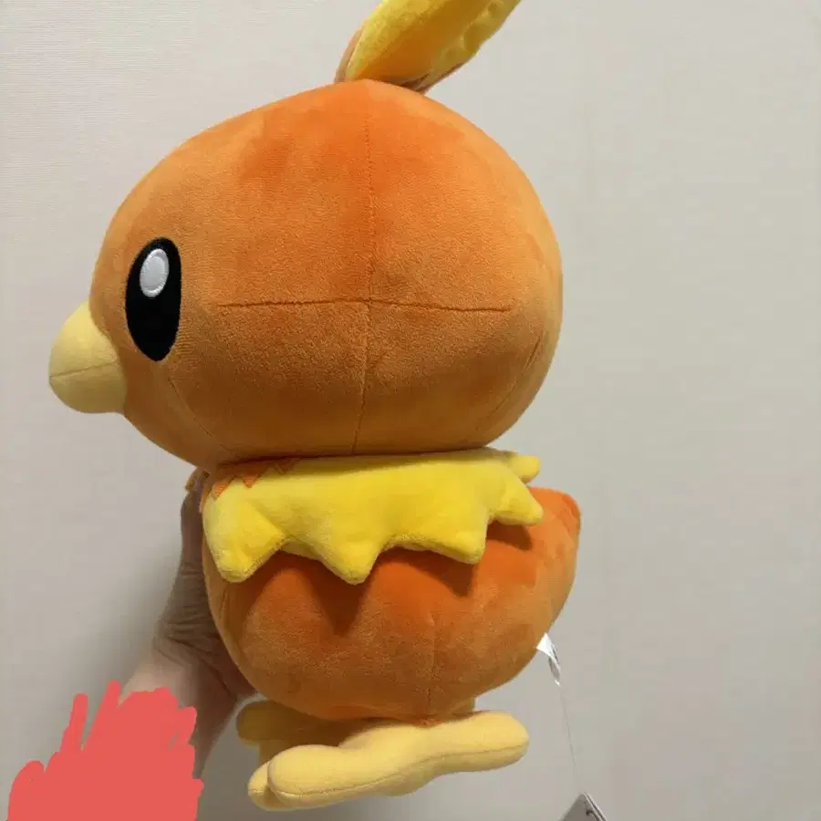 포켓몬 정품 반다이 스피리츠 아차모 / Torchic 인형 (무료배송)