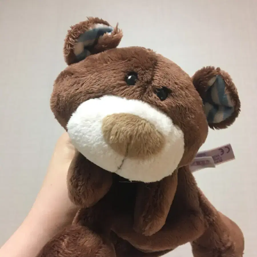 nici 니키 곰 필통