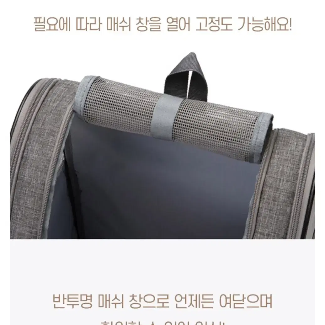 새상품/반려동물 이동 가방