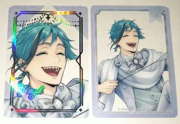 트위스트 플로이드 클리어 카드 세트 플래티나 프리미엄 벌스데이 2024