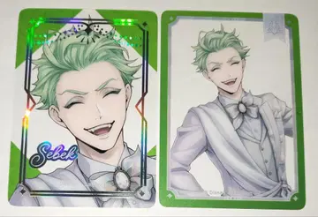 트위스트 세벡 클리어 카드 세트 플래티나 프리미엄 벌스데이 2024