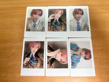 팬더 드래곤이 하피카 2.