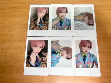 팬더 드래곤이 하피카 3.