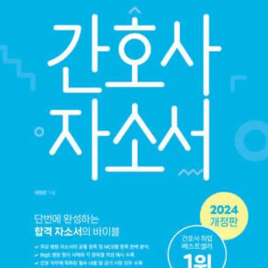 홍지문 파랑이 간호사 자소서 (2024 개정판)