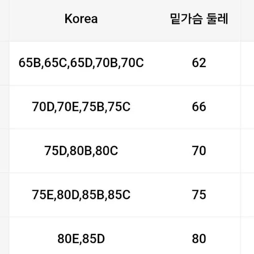 비키니 새상품