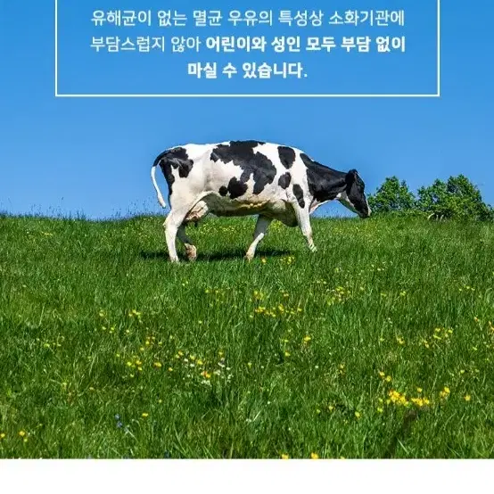 워비츠 라라비타 멸균우유 1000MLX12개 유럽프리미엄폴란드수입멸균우유