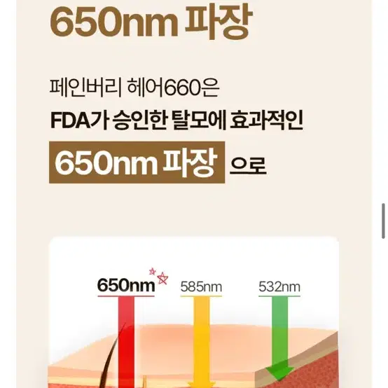 탈모 치료기 페인버리 헤어660