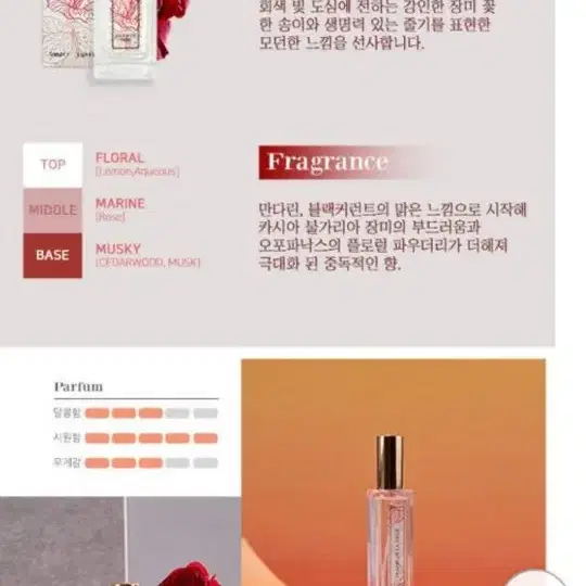 [졸리줄리] 퍼품 향수50ml 한병