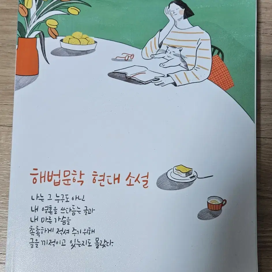 해법문학  고전시가,  현대소설