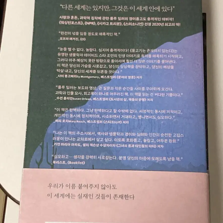 물고기는 존재하지 않는다