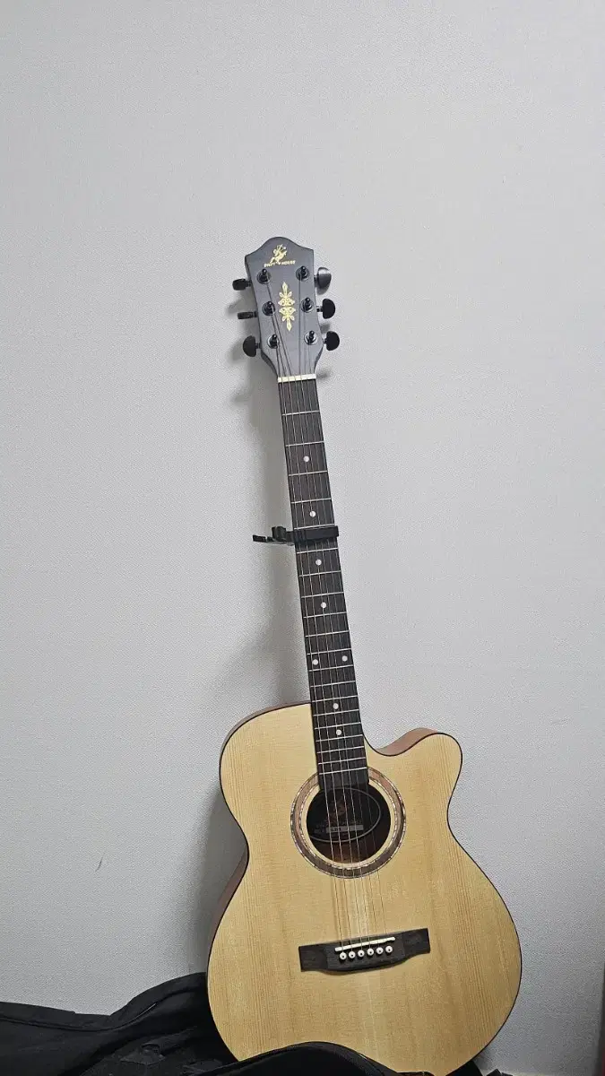 "Introduction" Acoustic guitar