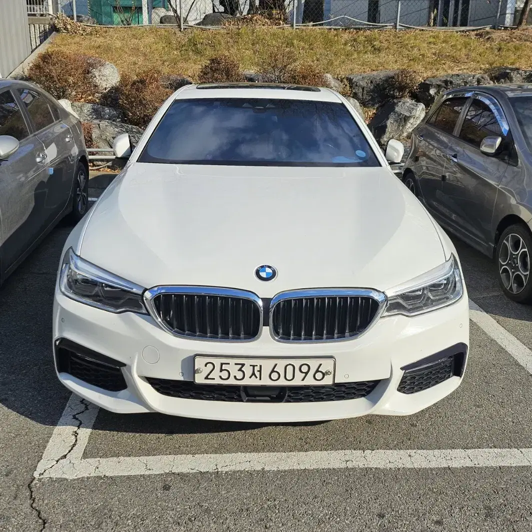 BMW 520D M팩 (G30) 화이트/꼬냑 시트 조합