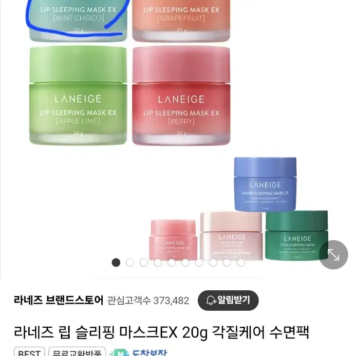 라네즈 립슬리핑마스크EX(새상품)