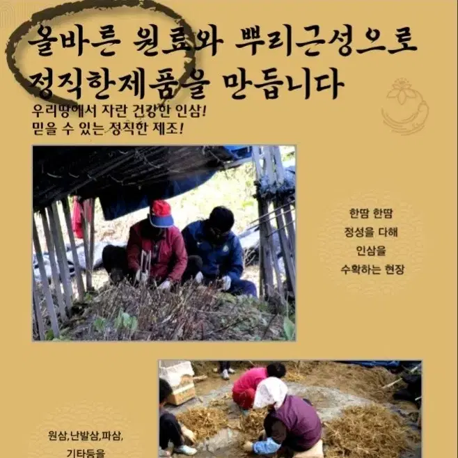 녹용홍삼선뮬, 흑삼녹용골드 960g (240g X 4병) [원산지:국산]