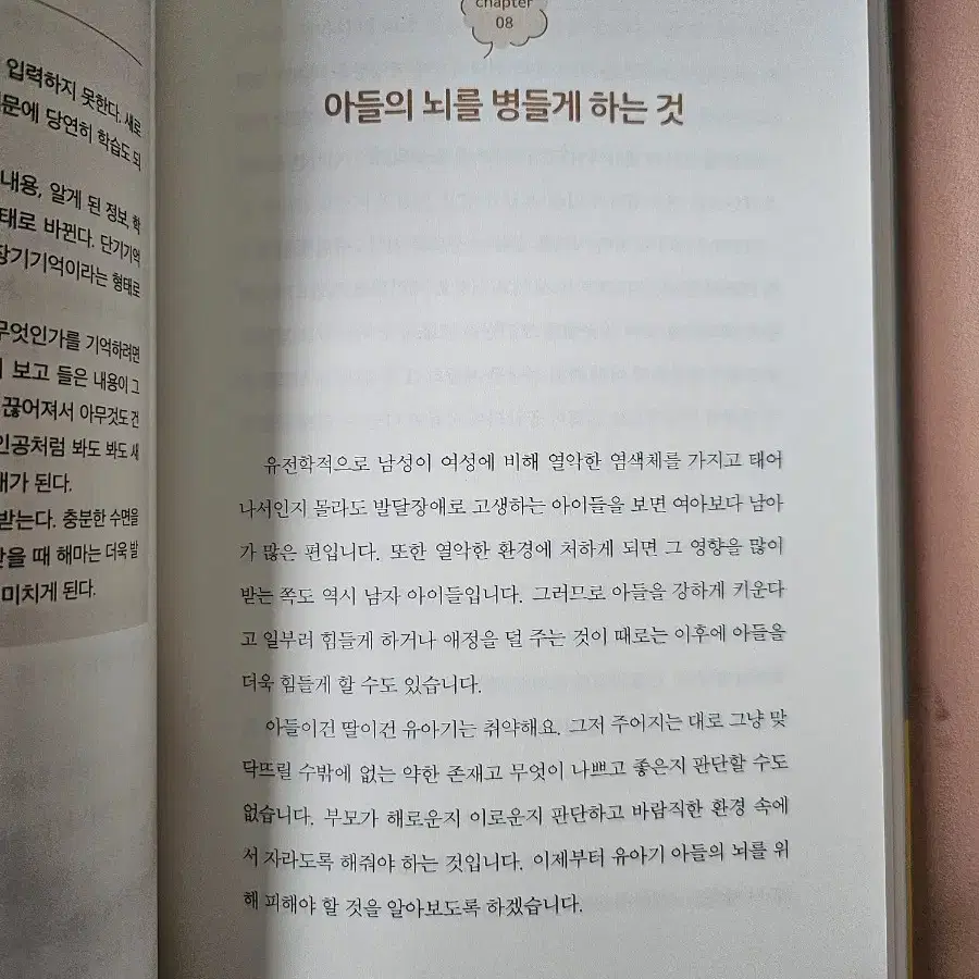 아들의 뇌