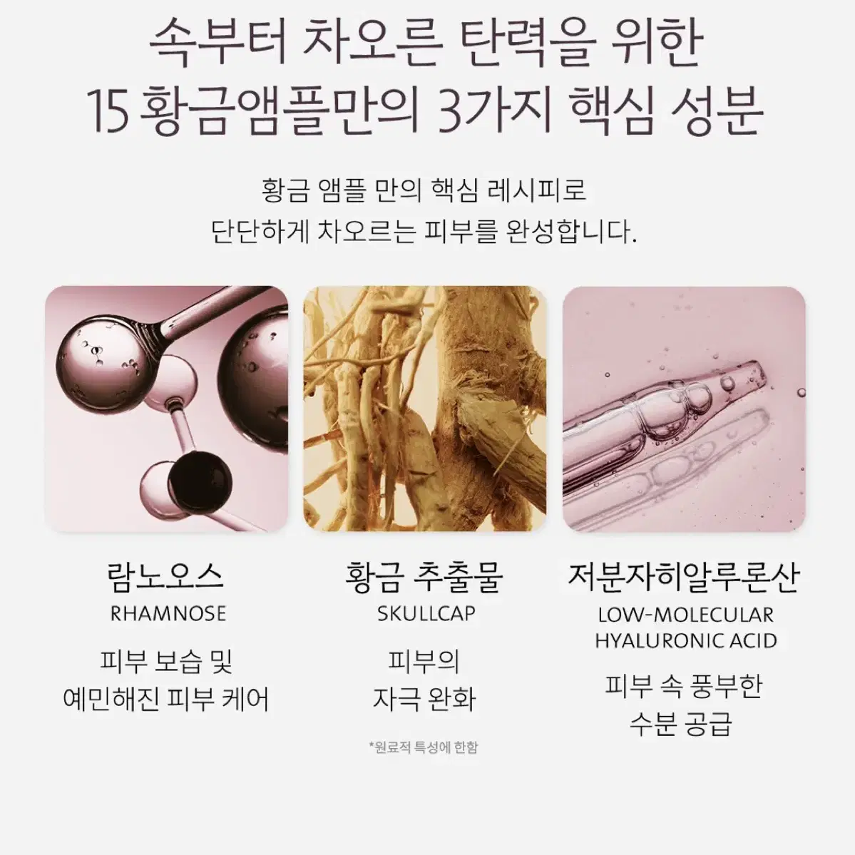 (무료배송) 시효 15번 백로 황금 얼리 링클 케어 앰플 20ml 탄력