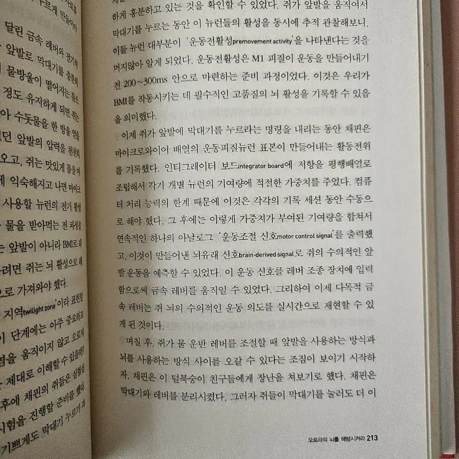 뇌의 미래