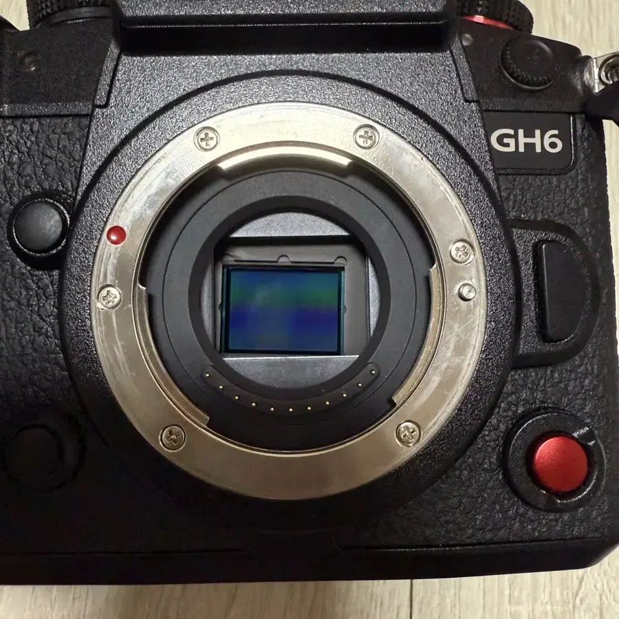 파나소닉 루믹스GH6 / 루믹스G LEICA 12-60 / 엔젤버드 51