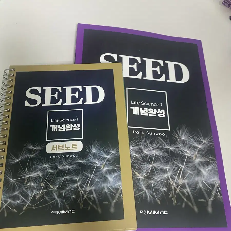 박선우 seed 판매 급처