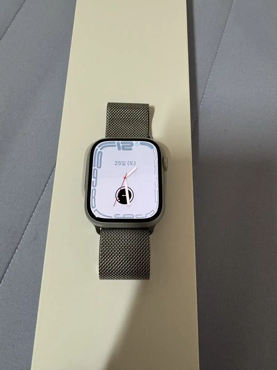 Apple Watch 8 45mm Silver + Millennial Loop Genuine, etc.