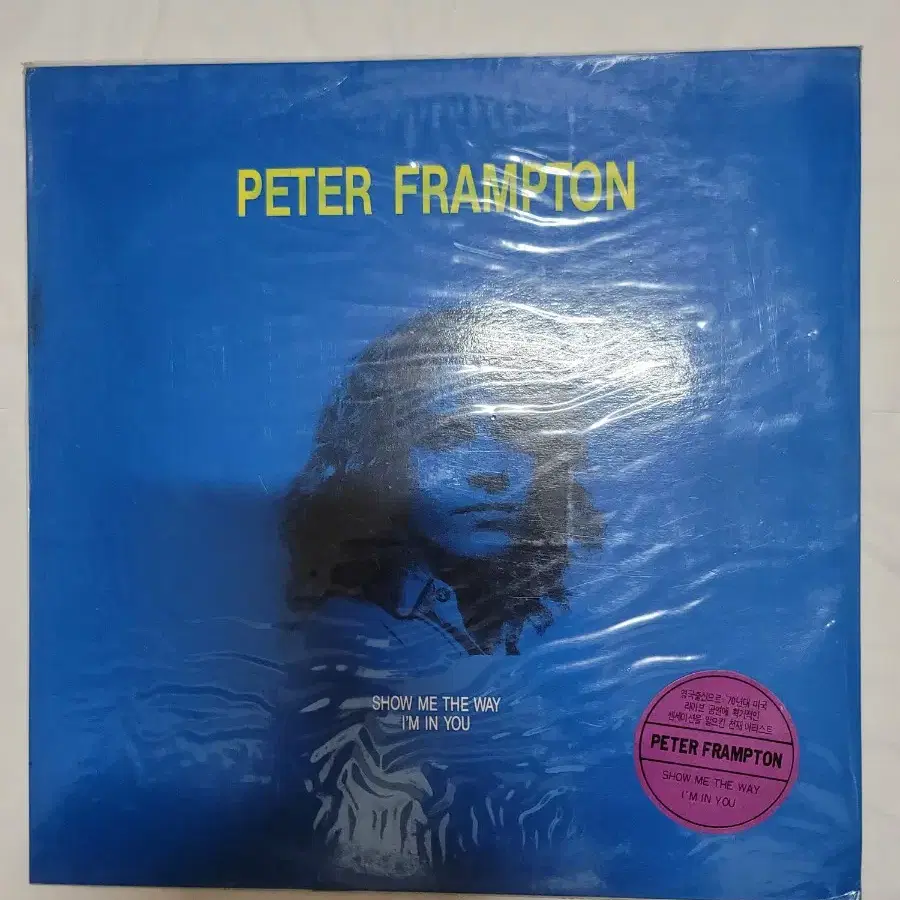 PETER FRAMPTON LP 미개봉