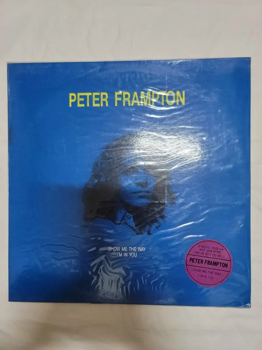 PETER FRAMPTON LP 미개봉