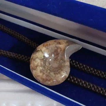 암모나이트 화석 목걸이