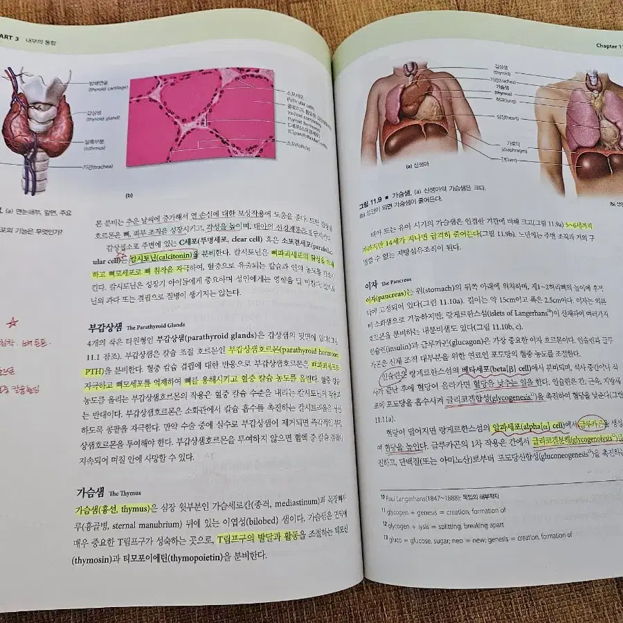 간호학과 전공교재 싸게 팝니다