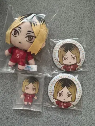 하이큐 5번 캐릭터 봉제 인형-배지 세트 여우 손톱 연마