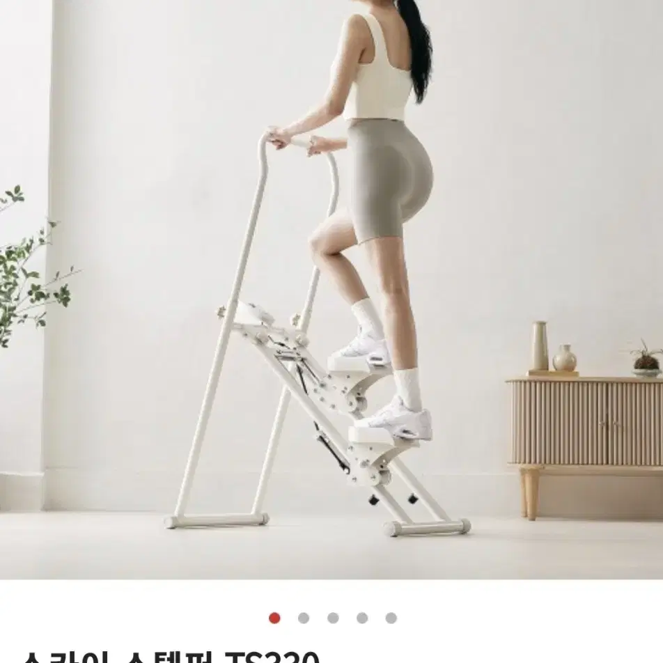 엑사이더 스텝퍼 TS330 새제품