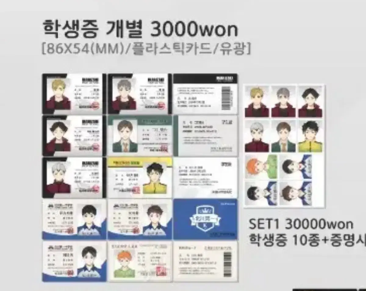 Student ID card set for Mr. ㄹㅁㅁ for sale