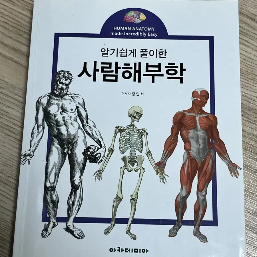 사람해부학 아카데미아