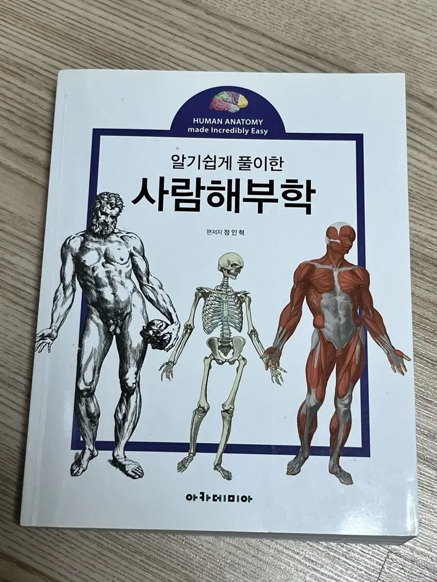 사람해부학 아카데미아