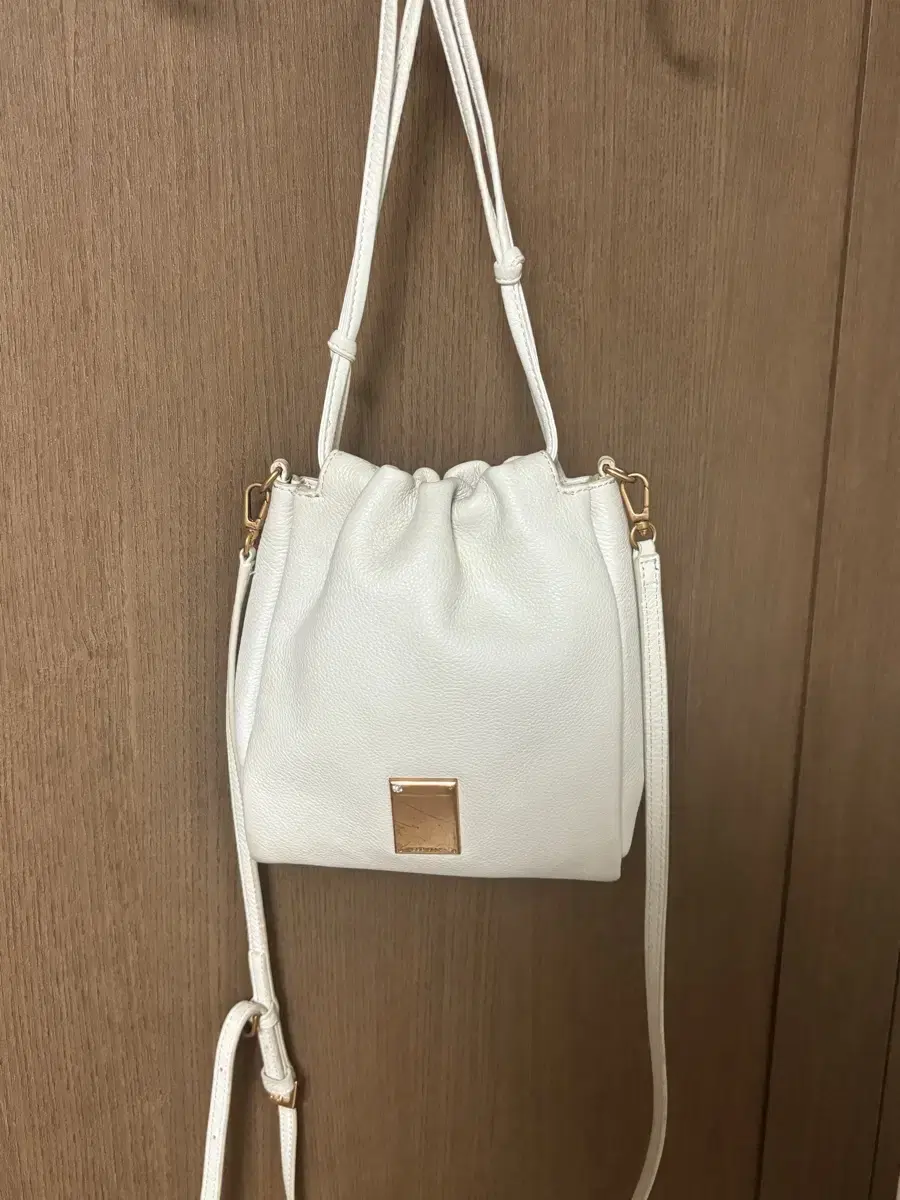 COURONNE Ivory Mini Faux Leather Crossbody Bag