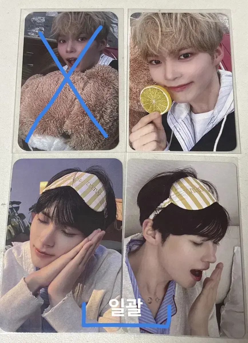 뒷장 까지 일괄)제베원 4집 럭드 미공포 시즌그리팅 성한빈