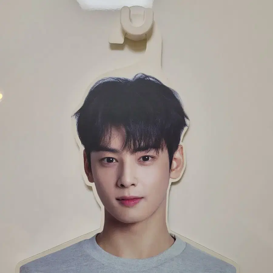 차은우 옷걸이