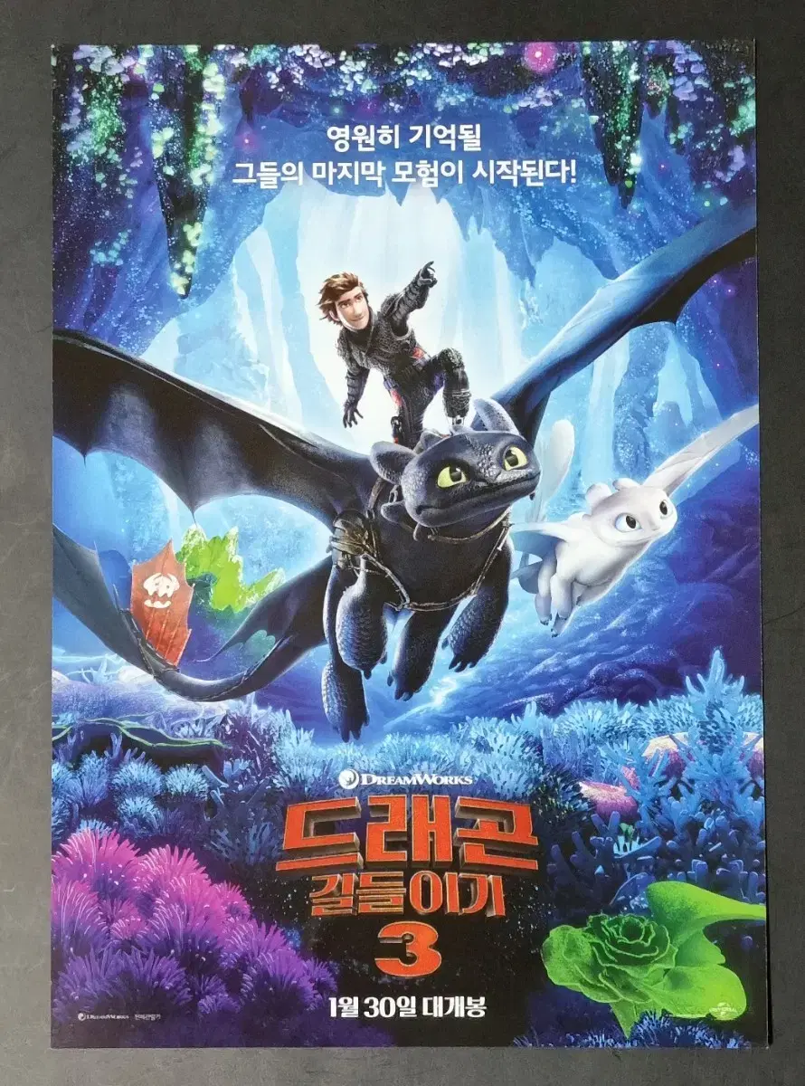 [영화팜플렛] 드래곤길들이기3 (2019) 애니메이션 영화전단지