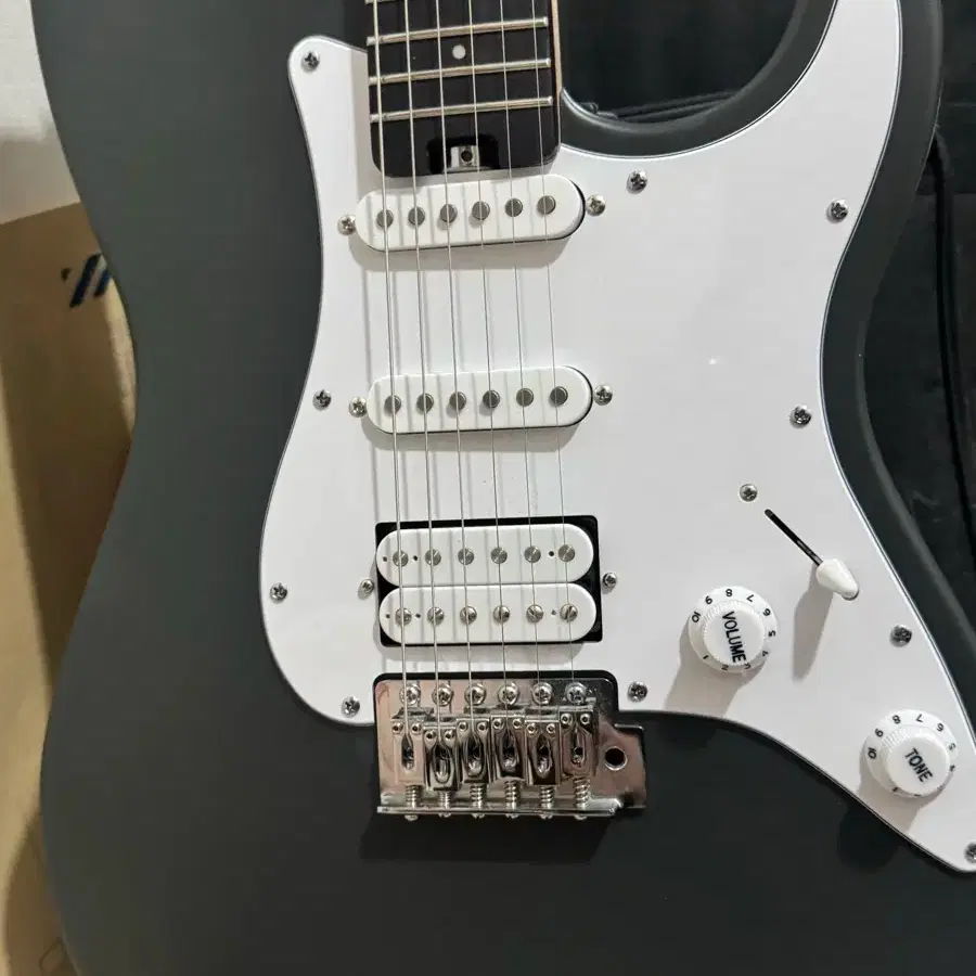 ギター HEX E100 GRAY E100 S⁄SG - HEX Guitars HEX E100 GRAY 【公式通販】