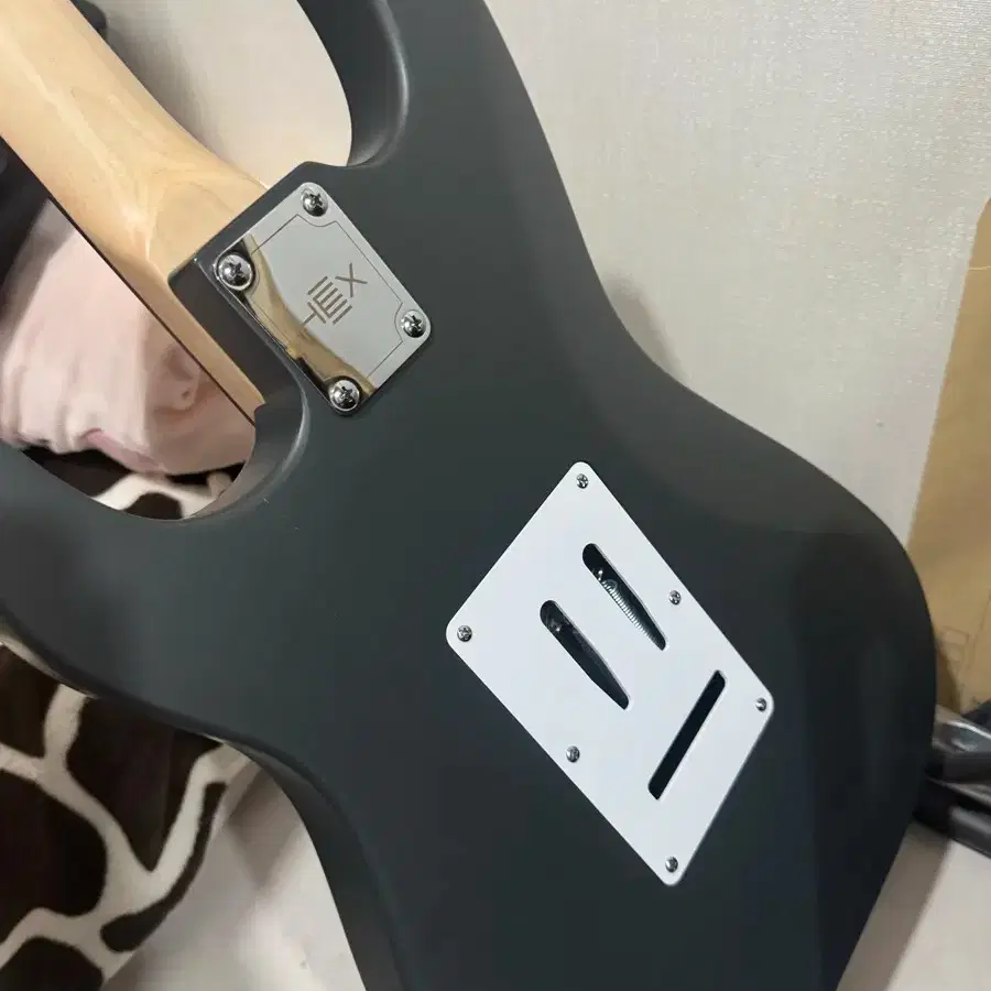 E100 S⁄SG - HEX Guitars HEX E100 GRAY 【公式通販】