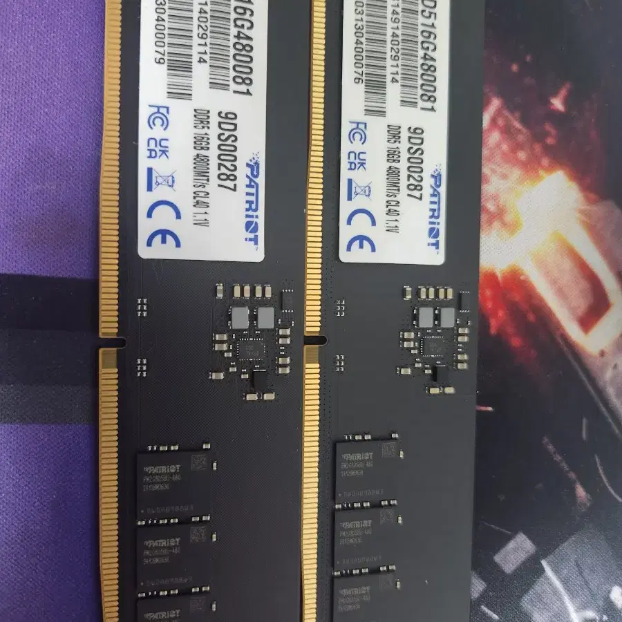 PATRIOT 패트리어트 DDR5-4800 32GB