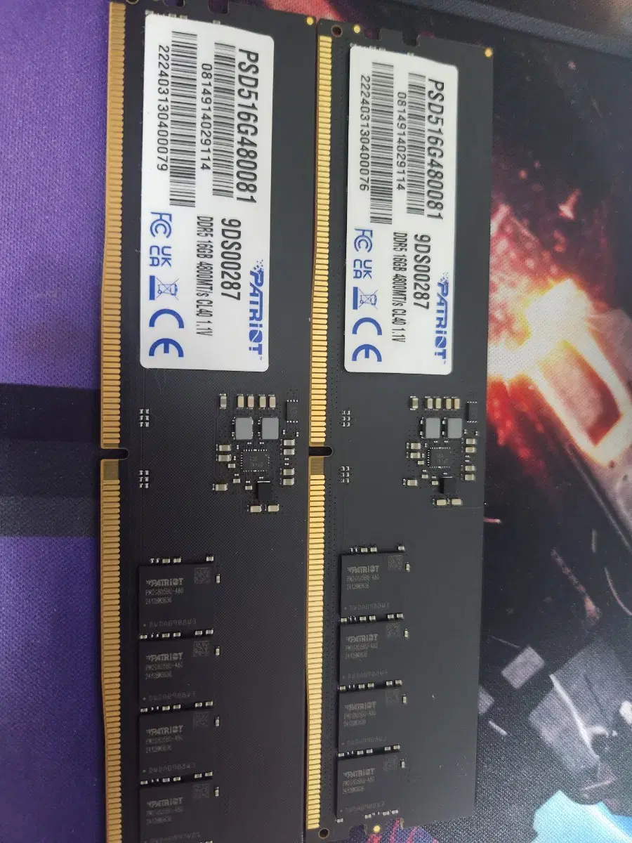 PATRIOT 패트리어트 DDR5-4800 32GB