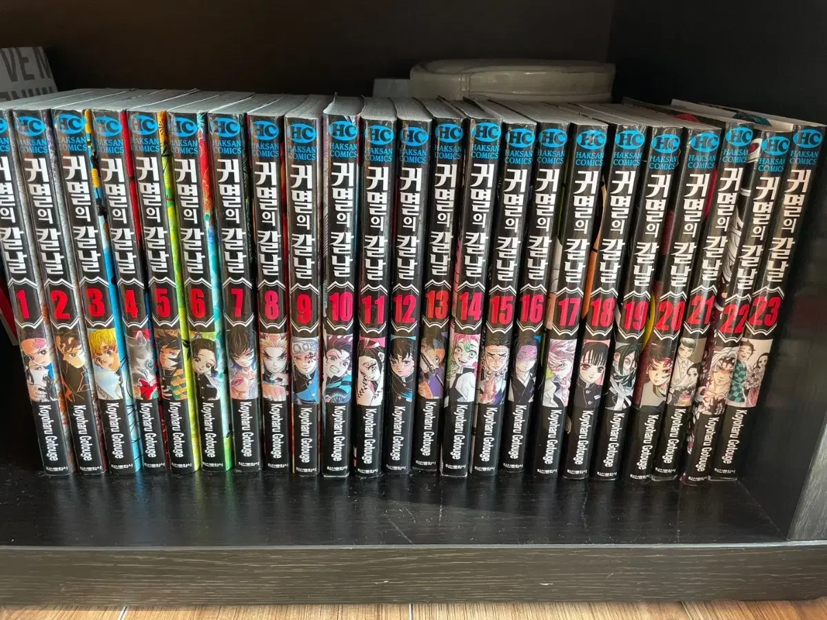 Demon Slayer Volumes 1-23