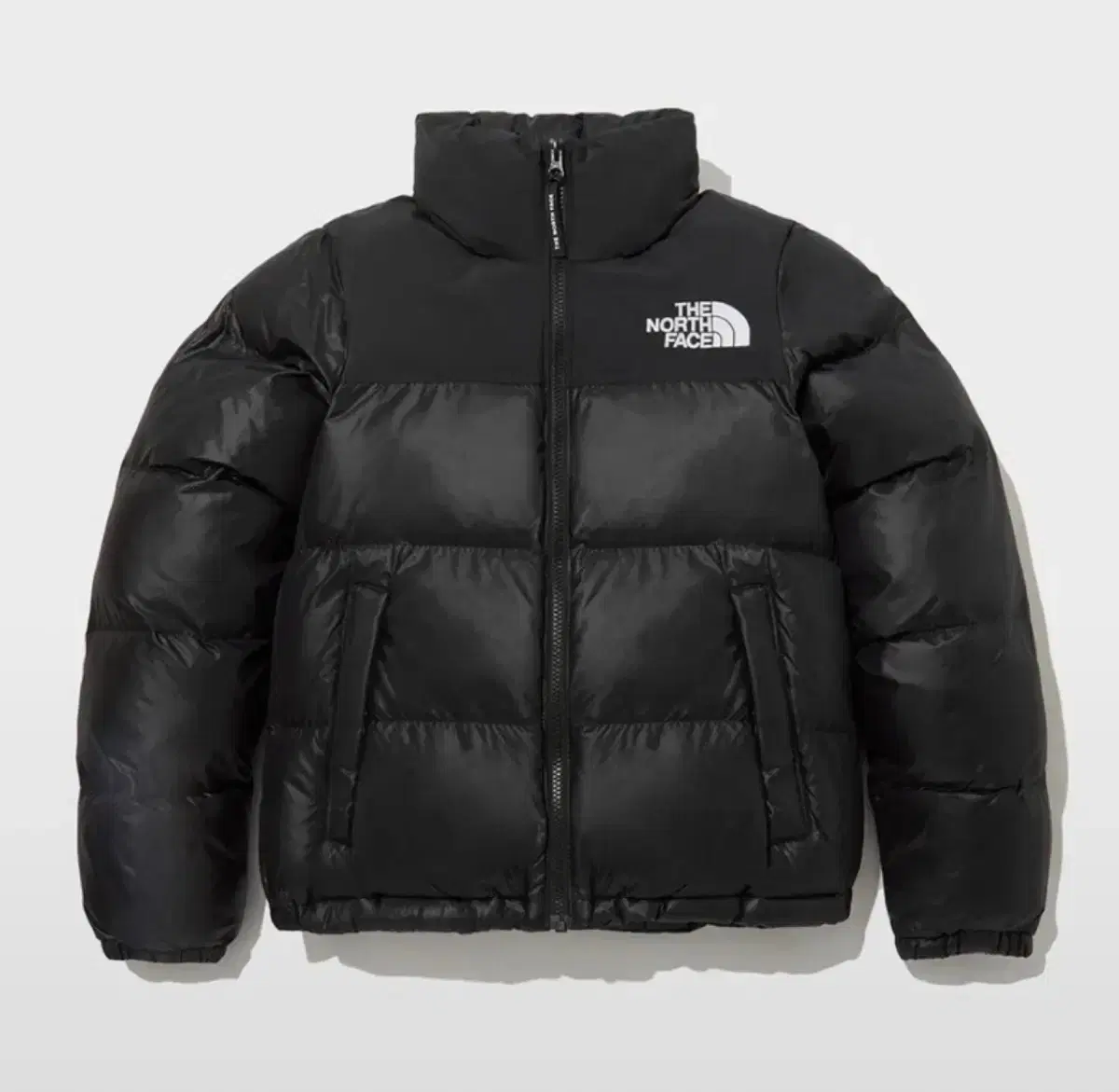 The North Face NUPTIX NUPTIX ONBOUL JACKET PADDING 95 L